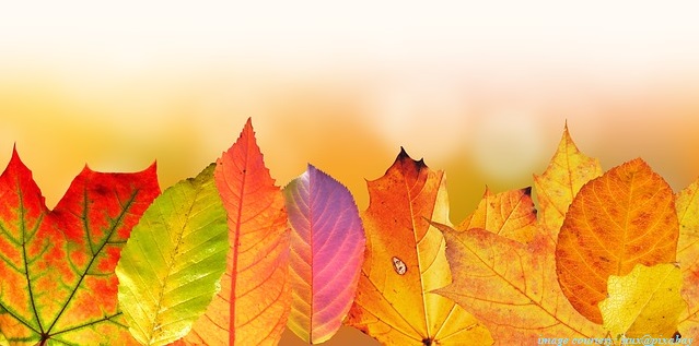 பரஸ்பர நிதிகளுக்கு வரிகள் – வருமான வரி தாக்கல் – பாடம் 5