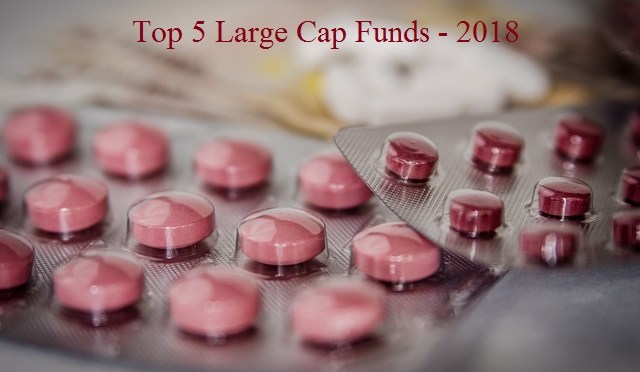 5 சிறந்த பெருமூலதன பரஸ்பர நிதித்திட்டங்கள் – 2018