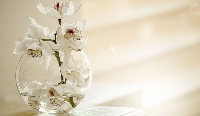 Orchid Flower Womens day